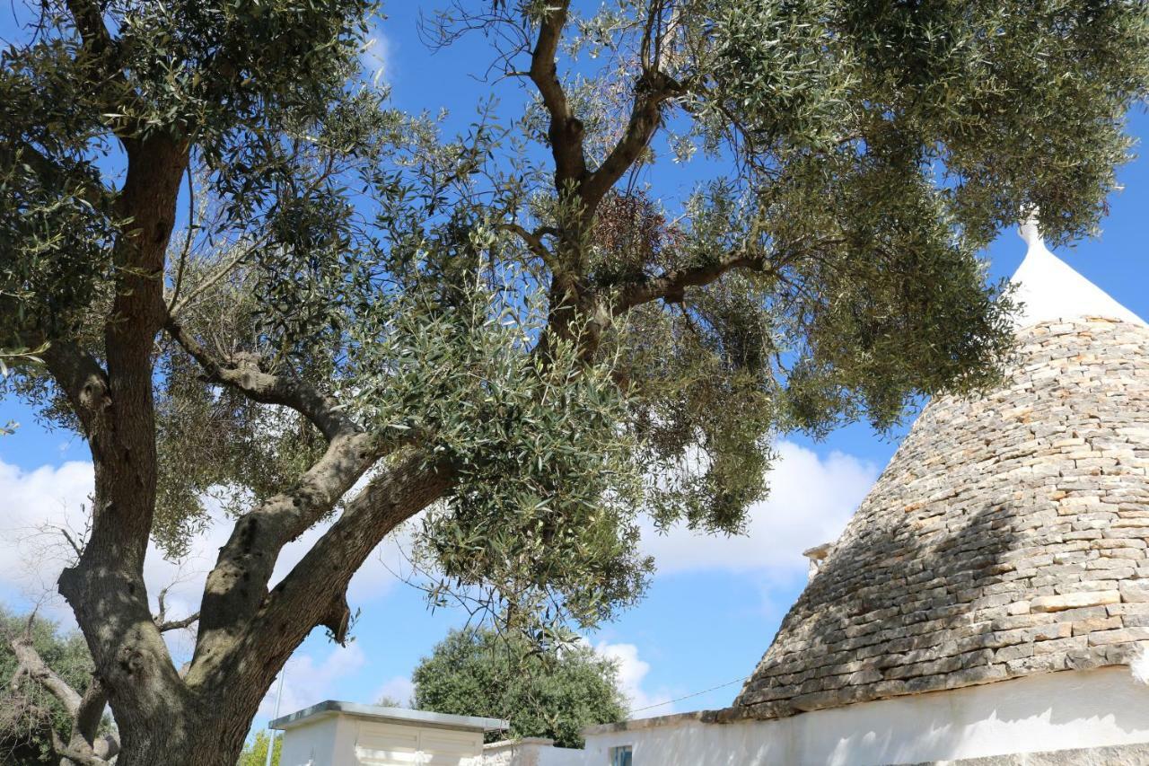 Trulli Alla Controra Conversano Exteriör bild
